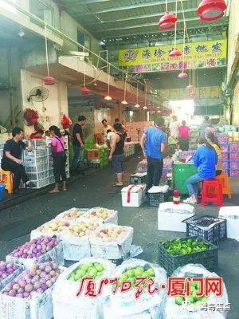 厦门工贸法人游东申:企业变迁与成长之路
